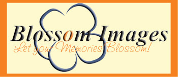 Blossom Images